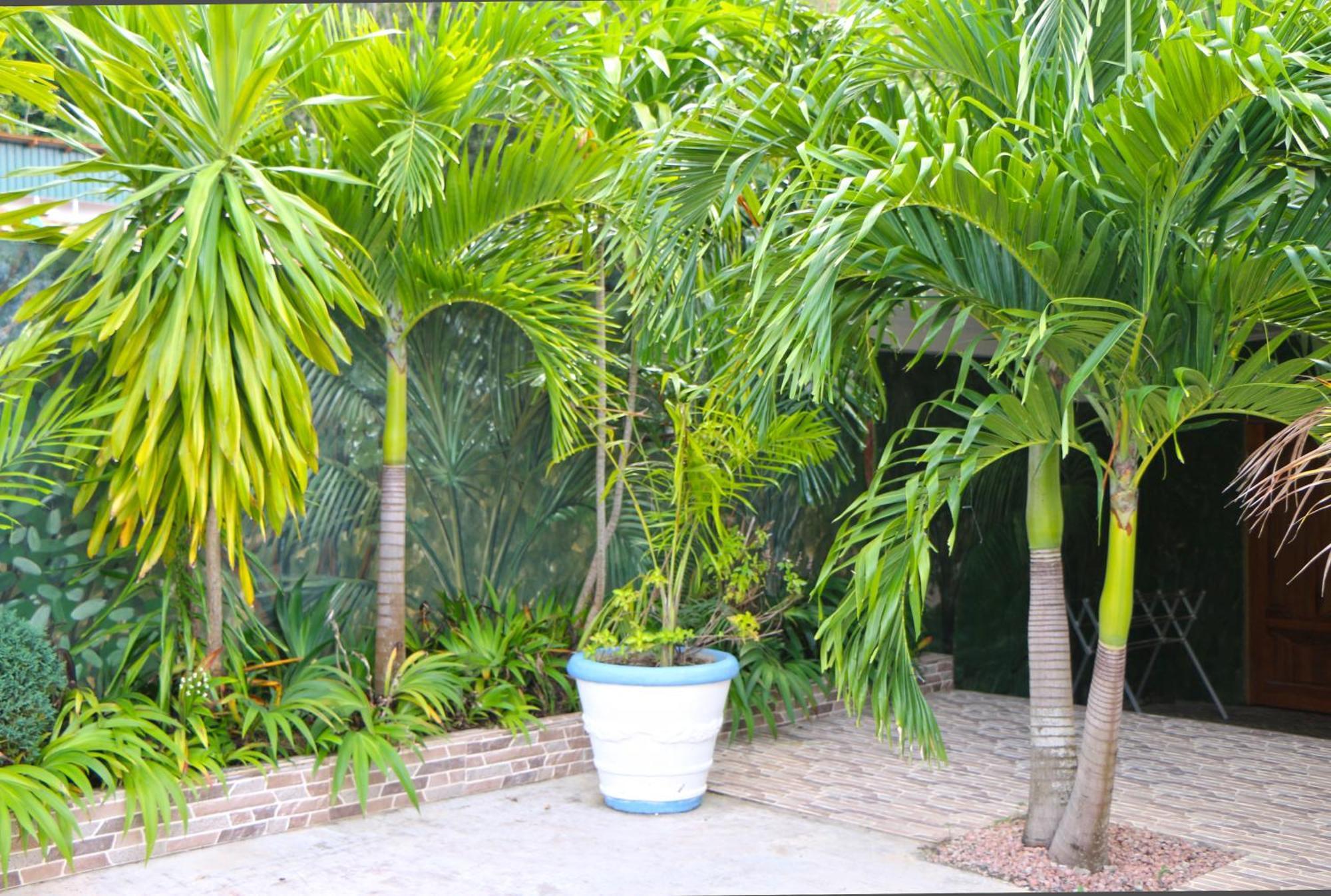 Ocean Blue Bay Apartment Anse Volbert Village  Exterior photo